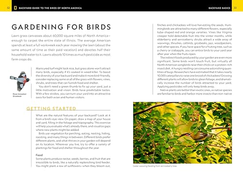National Geographic Backyard Guide to the Birds of North America, 2nd Edition