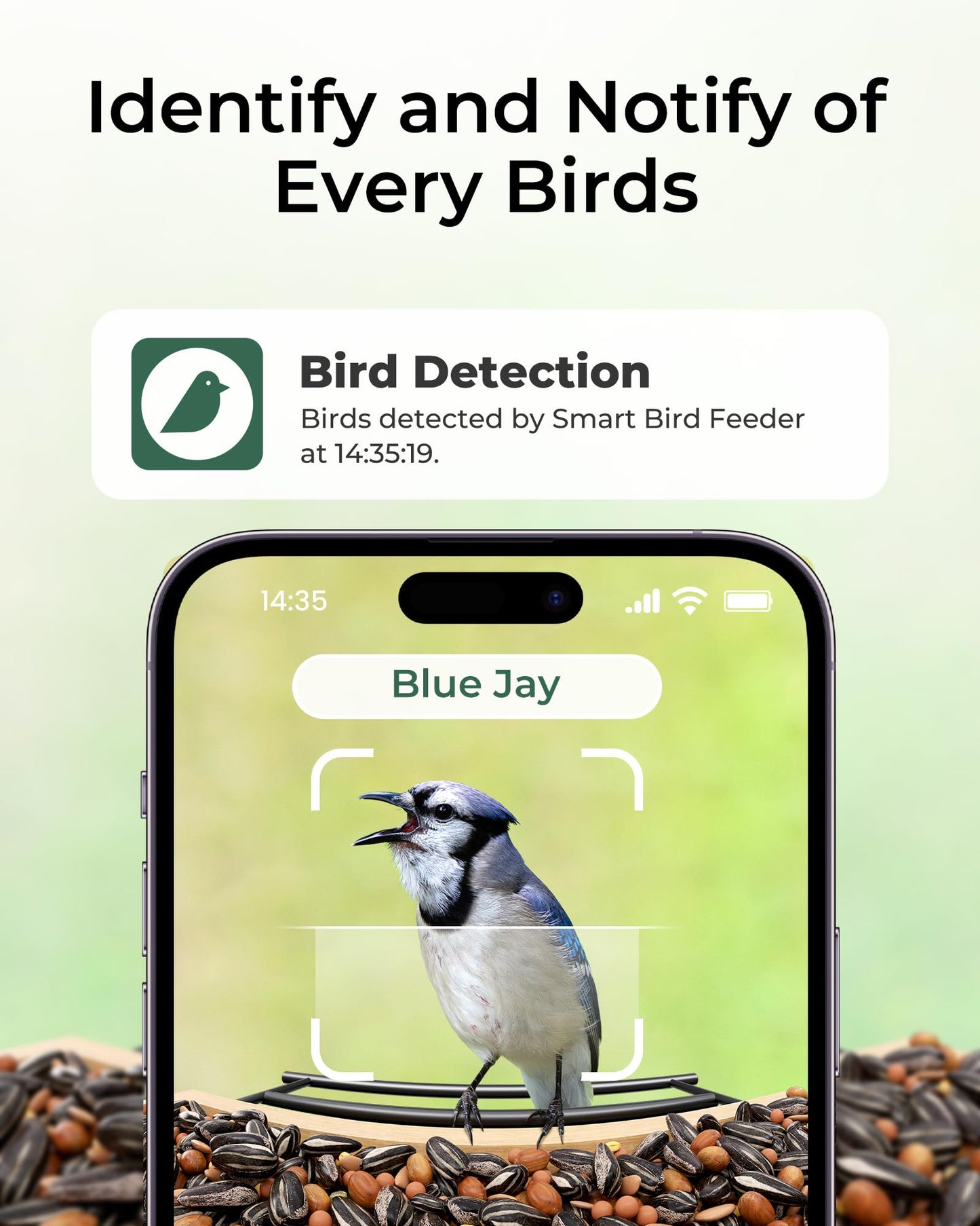 TT Nature Bird Feeder with Camera โ 3L Smart Bird Feeder with AI Recognition, Live Streaming, Cloud Storage, Real-Time Alerts, Birdwatching Gift for Nature Lovers (Bamboo)