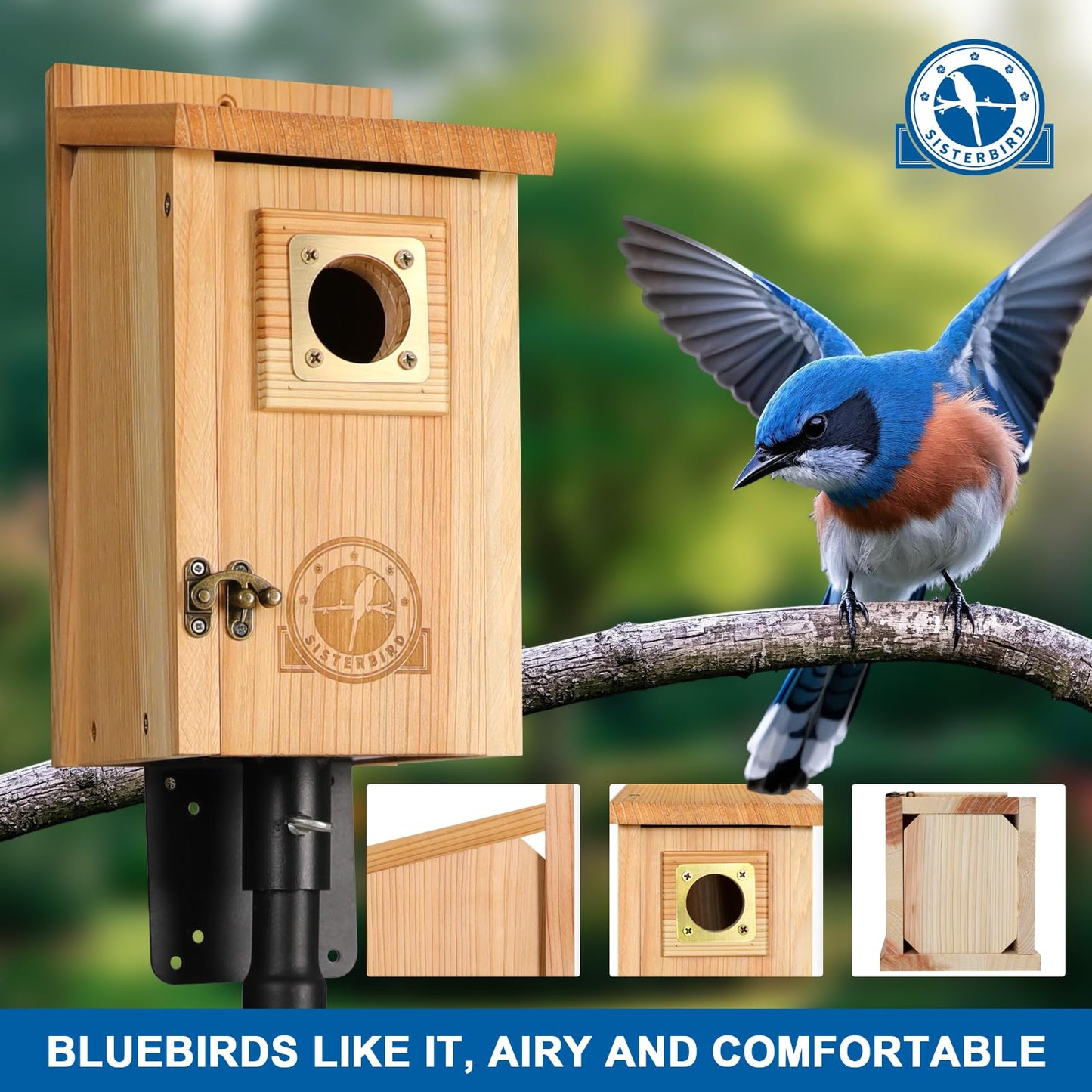 SISTERBIRD 2 Pack Bird Houses for Outside Clearance with Copper Guard, Cedar Bird House Outdoor, Bluebird Finch Swallow Wren Chickadee Assembly Required