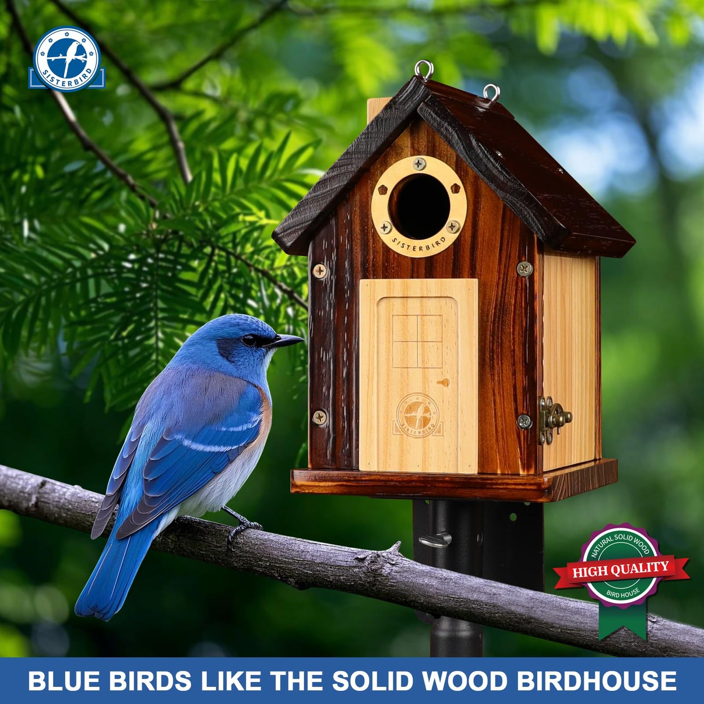 SISTERBIRD Bluebird Houses for Outside, Premium Bird Houses for Outside, Wooden Cabin Birdhouses for Outdoors, Weatherproof Courtyard Decorated Hanging Bird House, Nesting Bird House