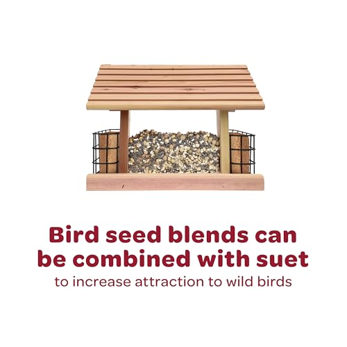 Kaytee Wild Bird Nut & Fruit Seed Treat Bell