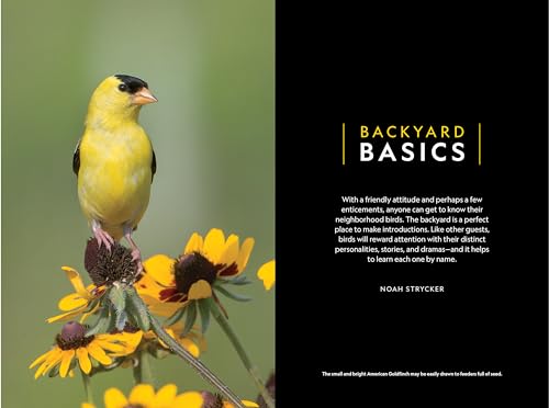 National Geographic Backyard Guide to the Birds of North America, 2nd Edition