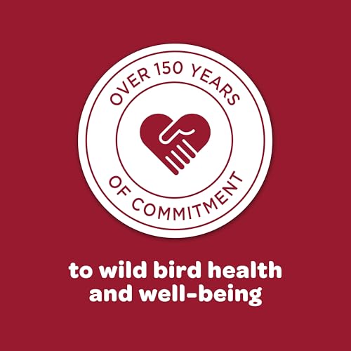 Kaytee Wild Bird Nut & Fruit Seed Treat Bell