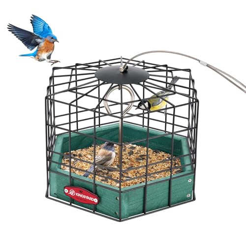 Kingsyard Squirrel Proof Platform Bird Feeders for Outdoor Hanging, 10" Wide Metal Caged Bird Feeder for Small Wildbirds Finches, Recycled Plastic Feeding Platform with Metal Seed Tray, Green