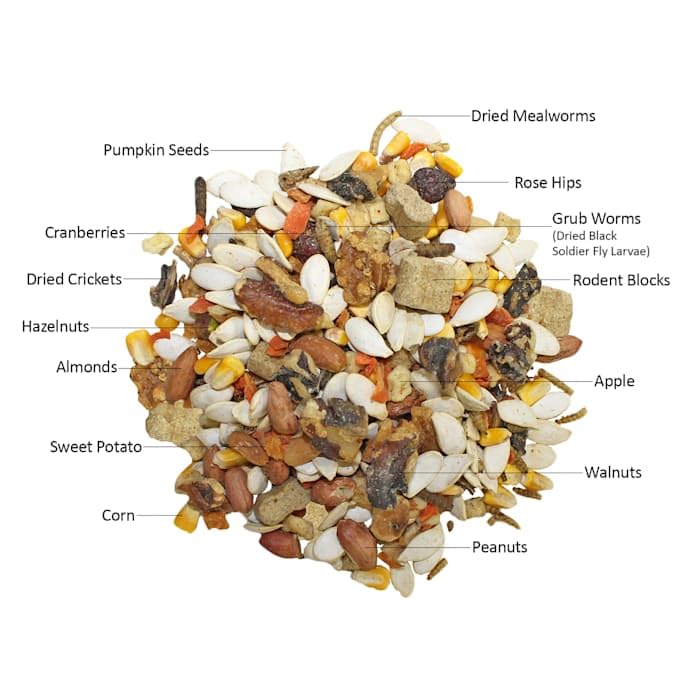 Exotic Nutrition Squirrel Complete (1.75 lb.) - Healthy Natural Food - Nutritional Diet for Pet & Captive Squirrels - Ground, Grey, Flying Squirrels, & Chipmunks