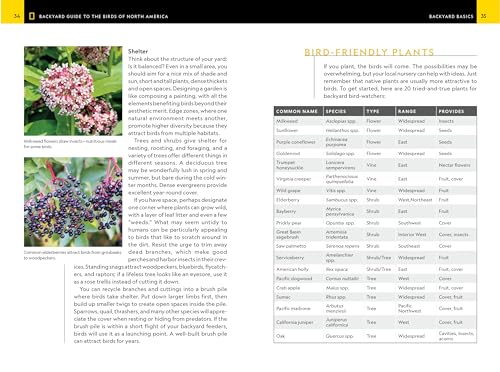 National Geographic Backyard Guide to the Birds of North America, 2nd Edition