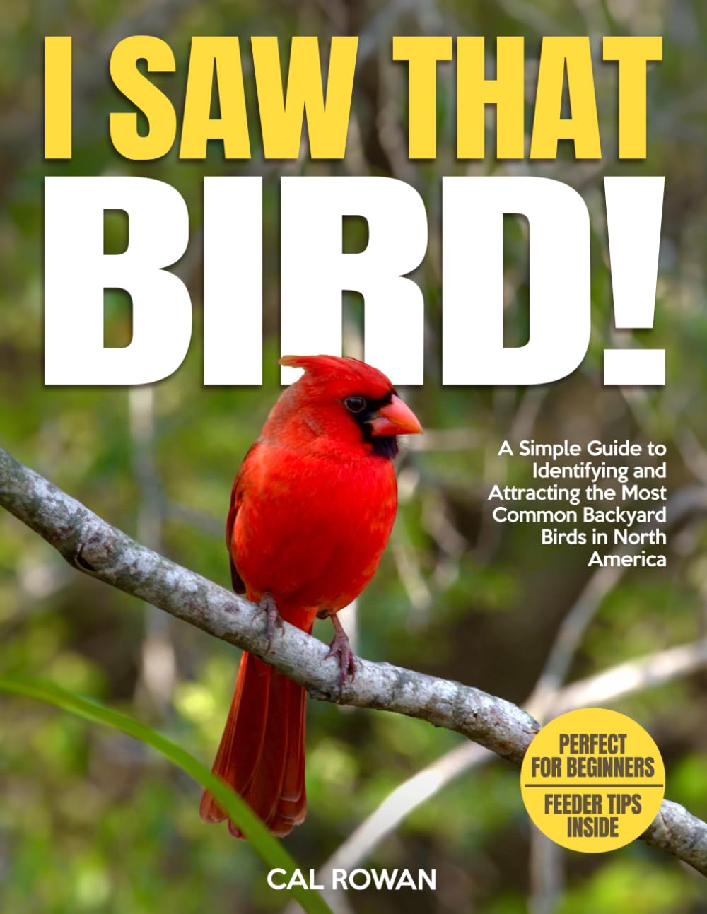 I Saw That Bird!: A Simple Guide to Identifying and Attracting the Most Common Backyard Birds in North America