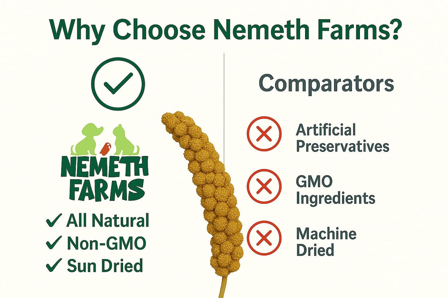 Nemeth Farms Premium Non-GMO Spray Millet Treat | Hand-Harvested Bird Snack | 100% Edible Tops | Sun-Dried Supplement for Parakeets, Cockatiels, Finches, Lovebirds, Canaries
