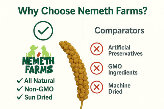 Nemeth Farms Premium Non-GMO Spray Millet Treat | Hand-Harvested Bird Snack | 100% Edible Tops | Sun-Dried Supplement for Parakeets, Cockatiels, Finches, Lovebirds, Canaries