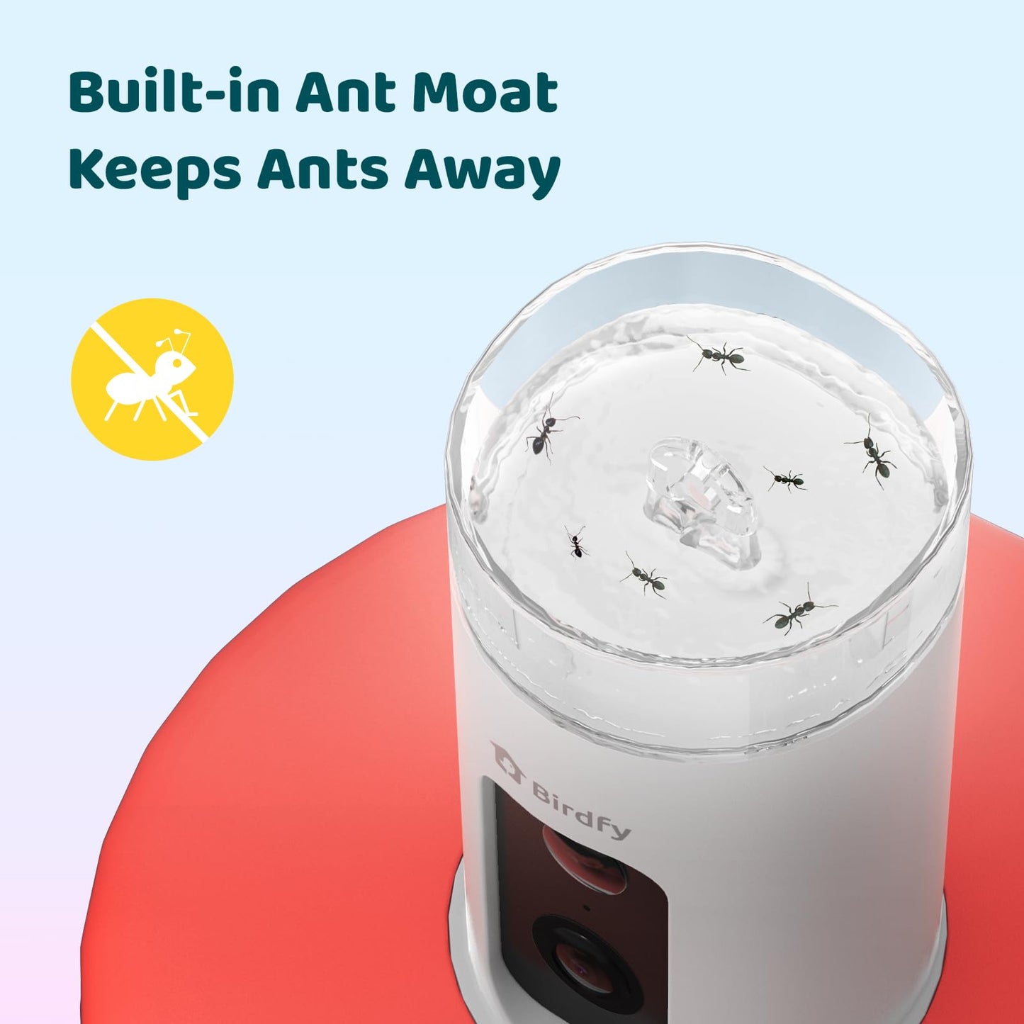 Birdfy Hummingbird Feeder with Camera, Auto Record Bird Video, Instant Notification, Live View, Smart Hummingbird Feeders for Outdoors Hanging, Ant Bee Proof, 14oz, Easy to Clean, Gift for Bird Lovers