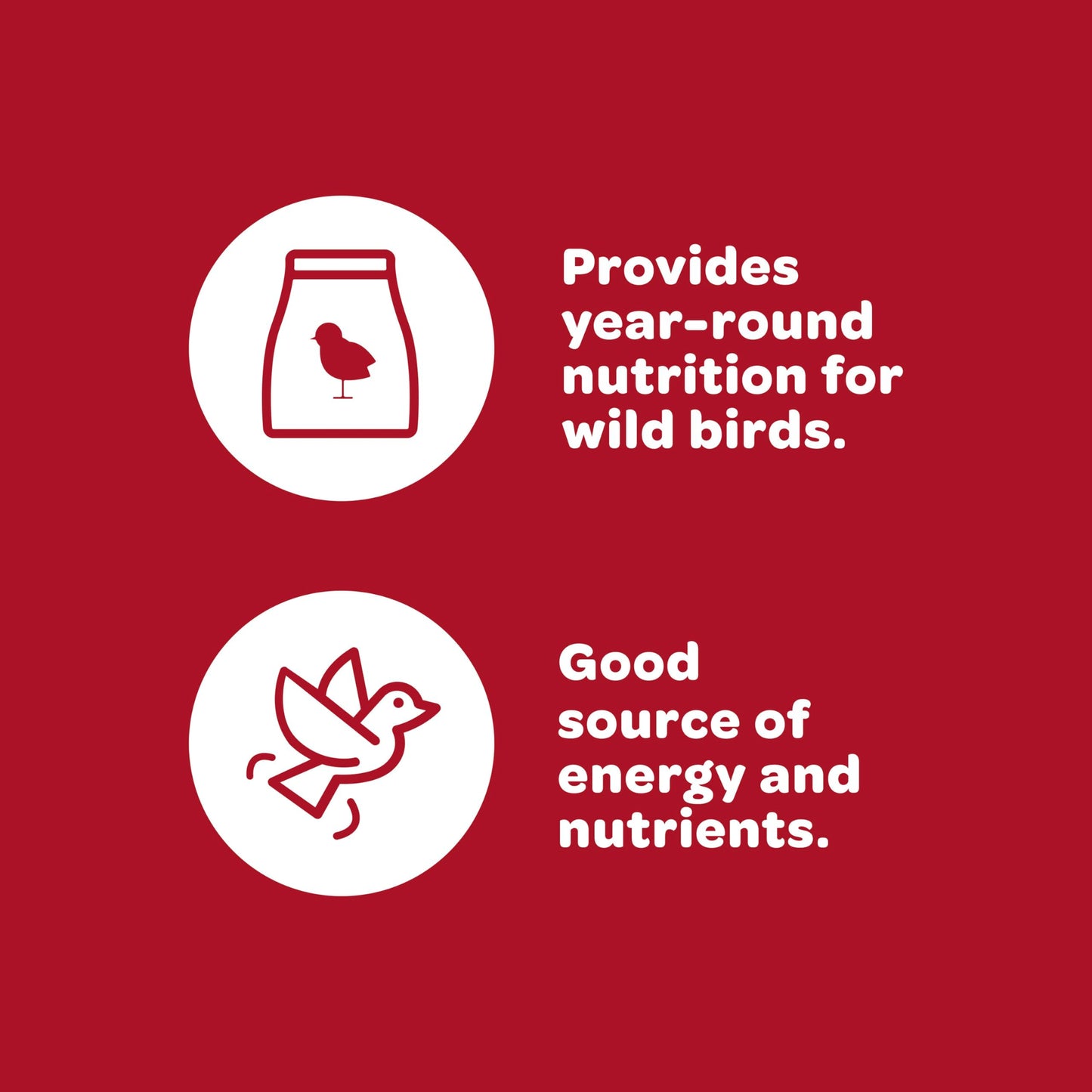 Kaytee Wild Bird Nut & Fruit Seed Treat Bell