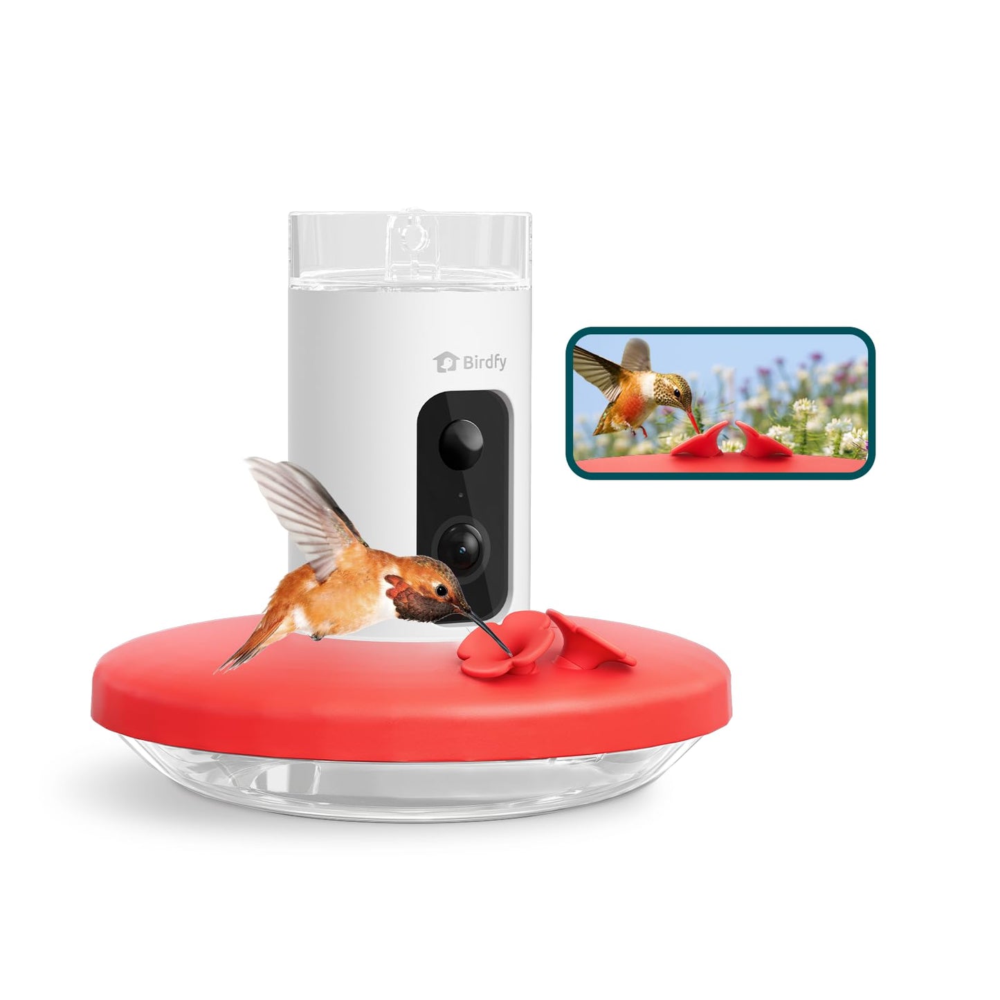 Birdfy Hummingbird Feeder with Camera, Auto Record Bird Video, Instant Notification, Live View, Smart Hummingbird Feeders for Outdoors Hanging, Ant Bee Proof, 14oz, Easy to Clean, Gift for Bird Lovers