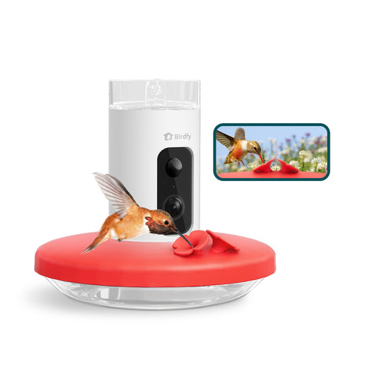 Birdfy Hummingbird Feeder with Camera, Auto Record Bird Video, Instant Notification, Live View, Smart Hummingbird Feeders for Outdoors Hanging, Ant Bee Proof, 14oz, Easy to Clean, Gift for Bird Lovers