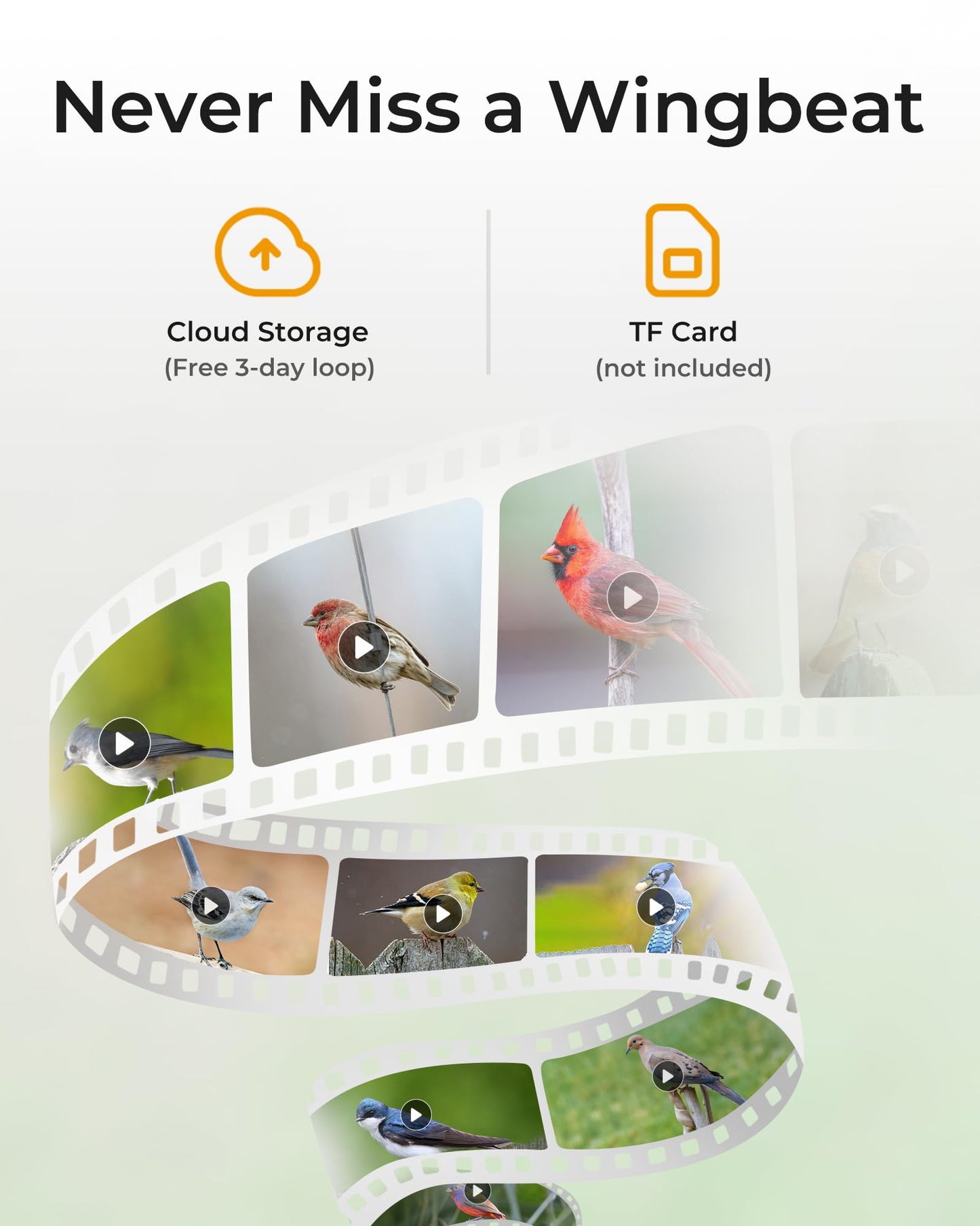 TT Nature Bird Feeder with Camera – 3L Smart Bird Feeder with AI Recognition, Live Streaming, Cloud Storage, Real-Time Alerts, Birdwatching Gift for Nature Lovers (Bamboo)