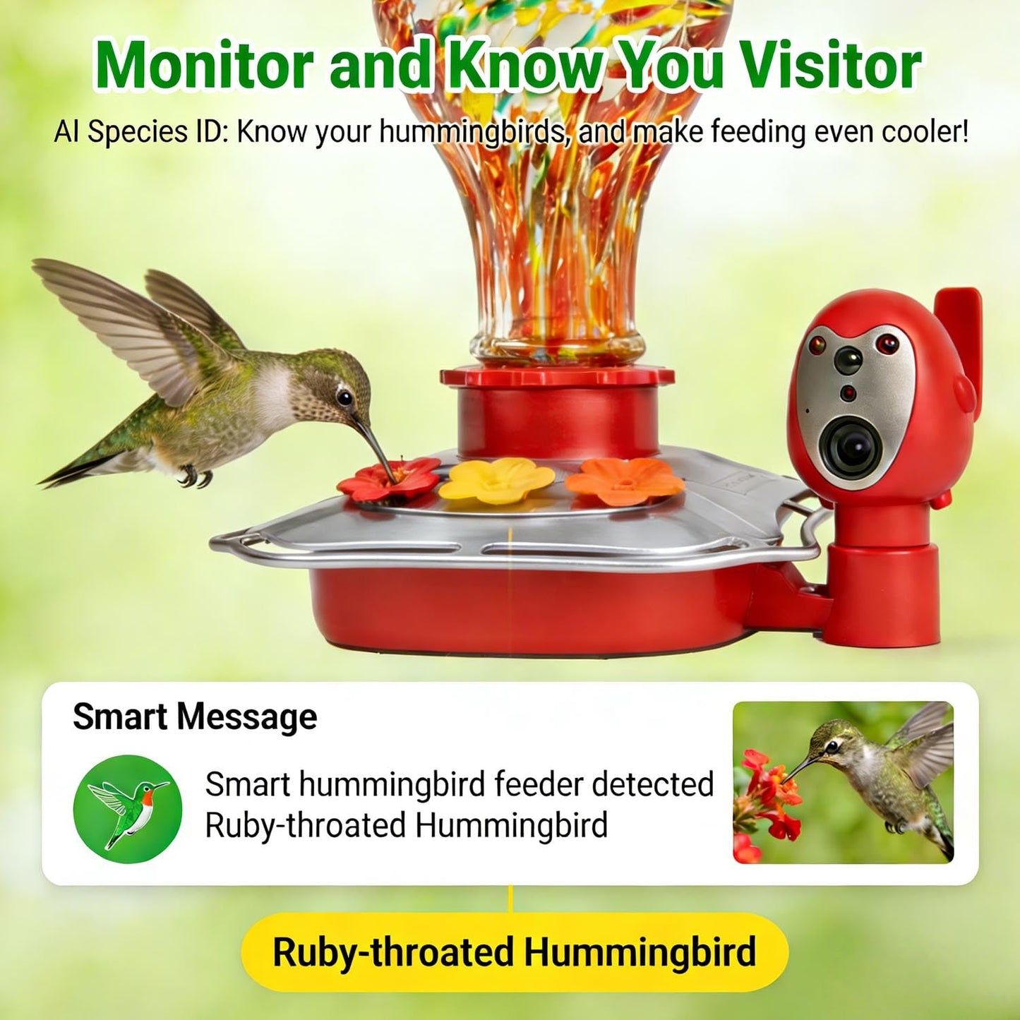 Hummingbird Feeder with Camera, Smart Glass Humming Bird Feeder Camera Solar Powered, AI Identify and Instant Notifications, 2K Live View, Leak-Proof Ant & Bee Proof, Ideal Gift for Bird Lovers