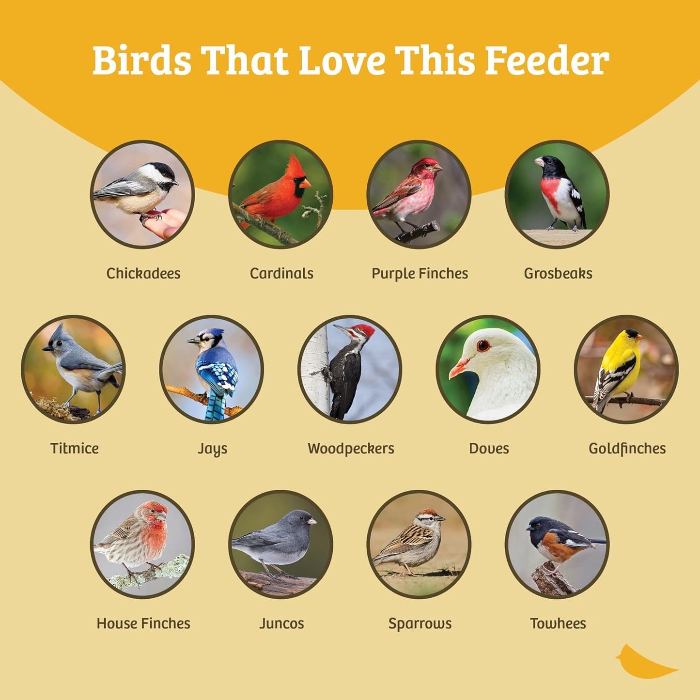 Birds Choice SNSC Platform Feeder, Recycled Pole Mount Seed Catcher Platform w/ Two Removable Seed Trays, Medium, Taupe