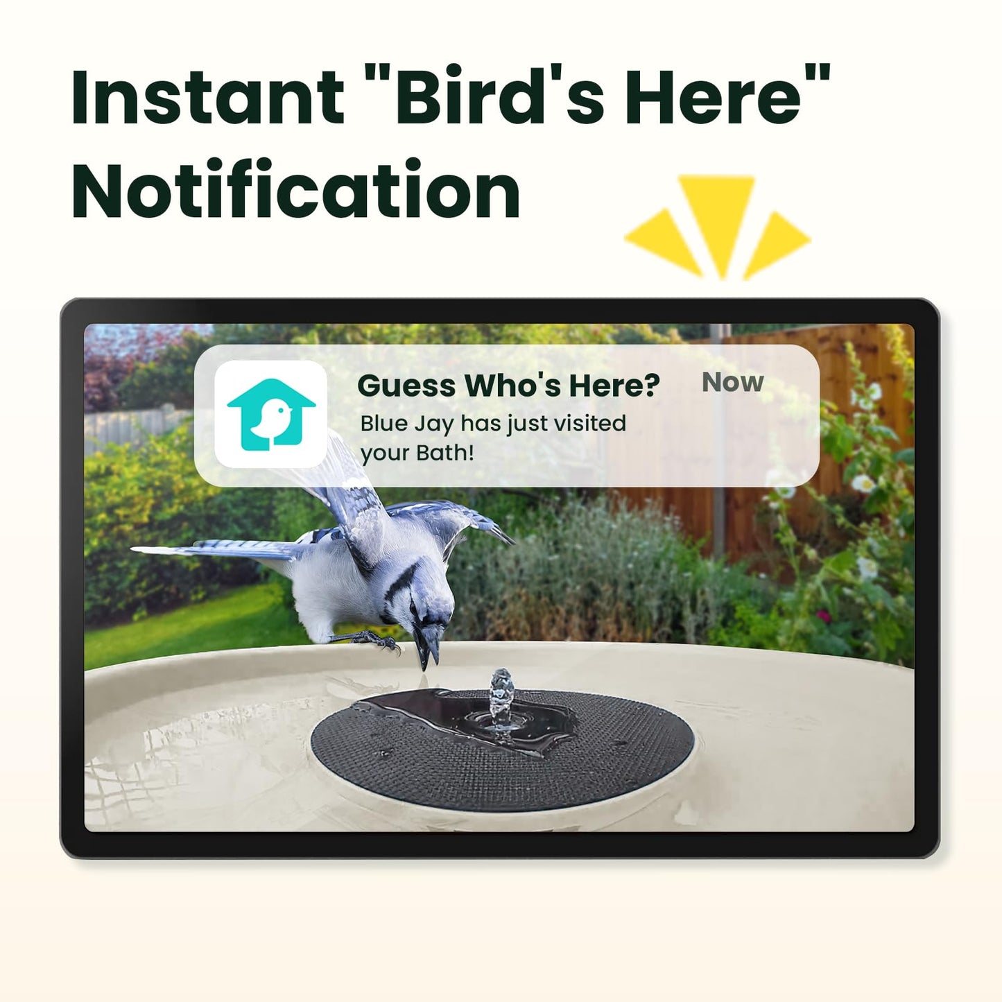 Birdfy Smart Bird Bath with Camera Solar Powered & Solar Fountain & Stand, Dual-Lens Camera for Bird Watching, Auto Capture Bird Videos & AI Identify, Ideal Present for Bird Lover