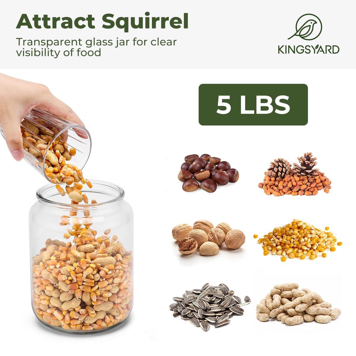 Kingsyard Recycled Plastic Squirrel Feeder for Outside, Squirrel Feeder Box with Peanuts Corn Storage Jar, Sturdy & Durable, Weatherproof (Green)