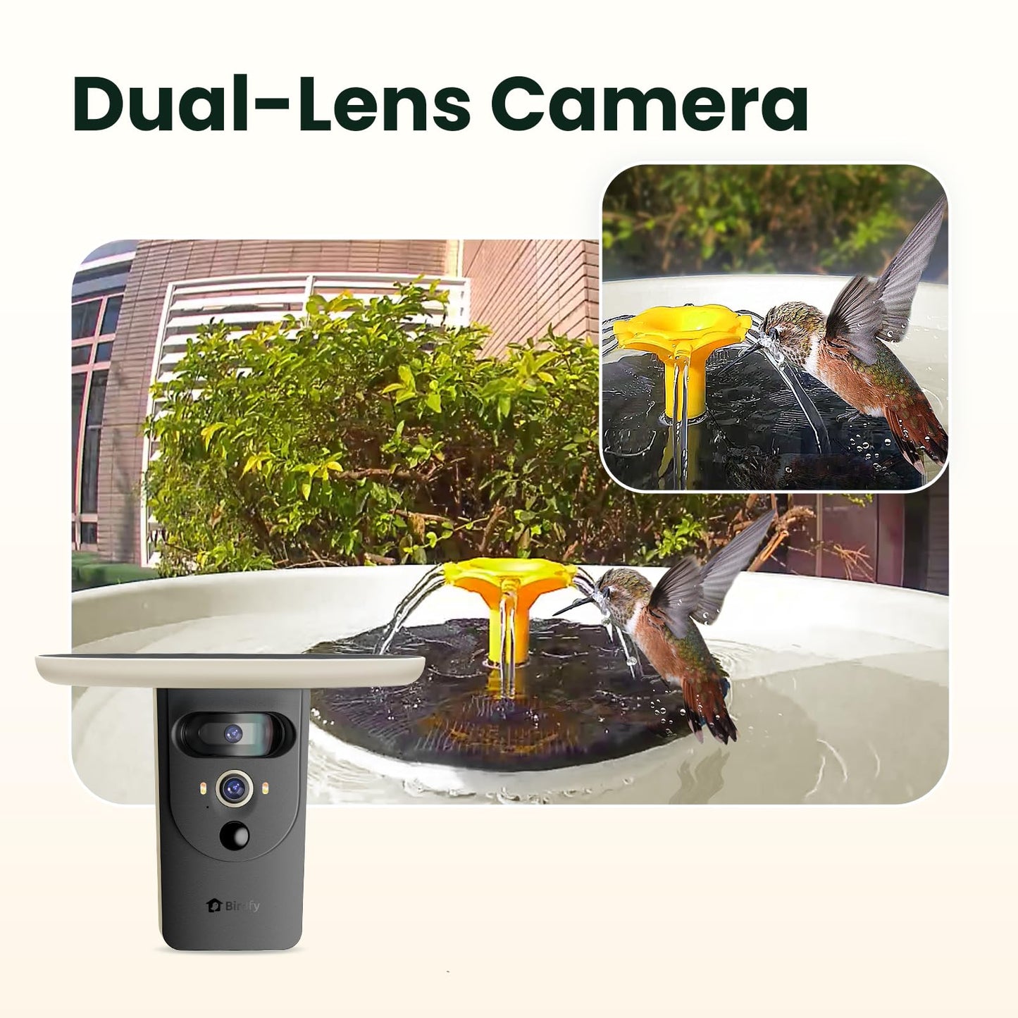 Birdfy Smart Bird Bath with Camera Solar Powered & Solar Fountain & Stand, Dual-Lens Camera for Bird Watching, Auto Capture Bird Videos & AI Identify, Ideal Present for Bird Lover