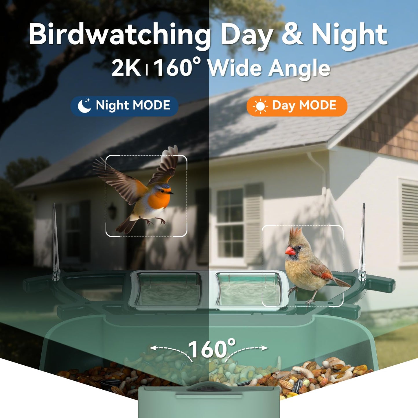 KUIKEO Dual-Lens Bird Feeder with Camera & Bird Bath Combo, Watch Birds Eat & Bathe with WiFi 2K HD Video, Auto Record, AI Recognition, APP Alerts, Solar Powered, for Backyard Garden Porch Fence Decor