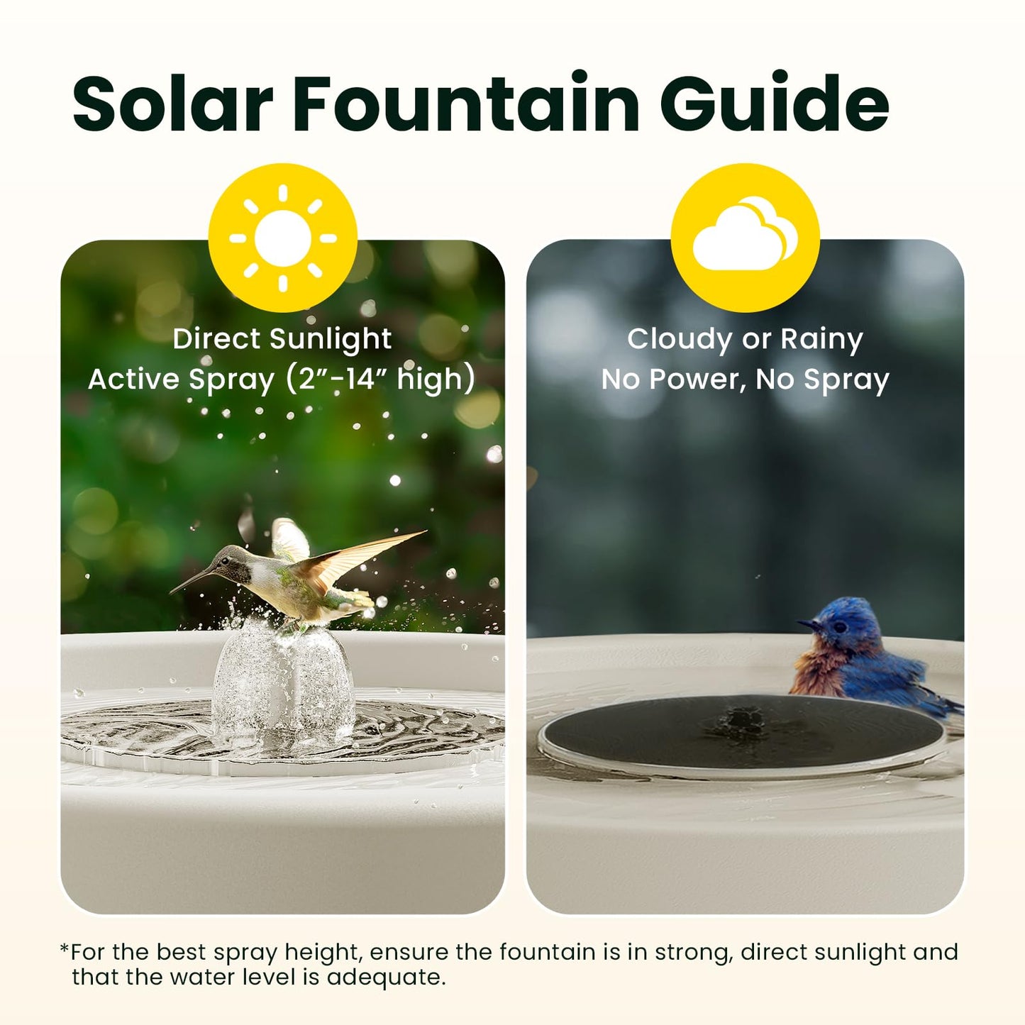 Birdfy Smart Bird Bath with Camera Solar Powered & Solar Fountain & Stand, Dual-Lens Camera for Bird Watching, Auto Capture Bird Videos & AI Identify, Ideal Present for Bird Lover