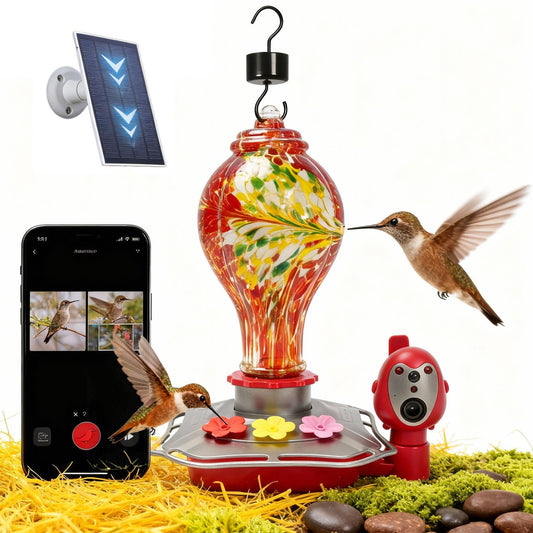 Hummingbird Feeder with Camera, Smart Glass Humming Bird Feeder Camera Solar Powered, AI Identify and Instant Notifications, 2K Live View, Leak-Proof Ant & Bee Proof, Ideal Gift for Bird Lovers