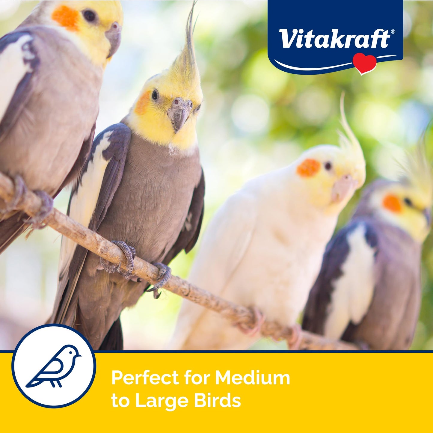 Vitakraft Fresh Super Fruit Cocktail - Tropical Parrot Fruit Blend - Parrot and Parakeet Treats 1.25 Pound (Pack of 1)