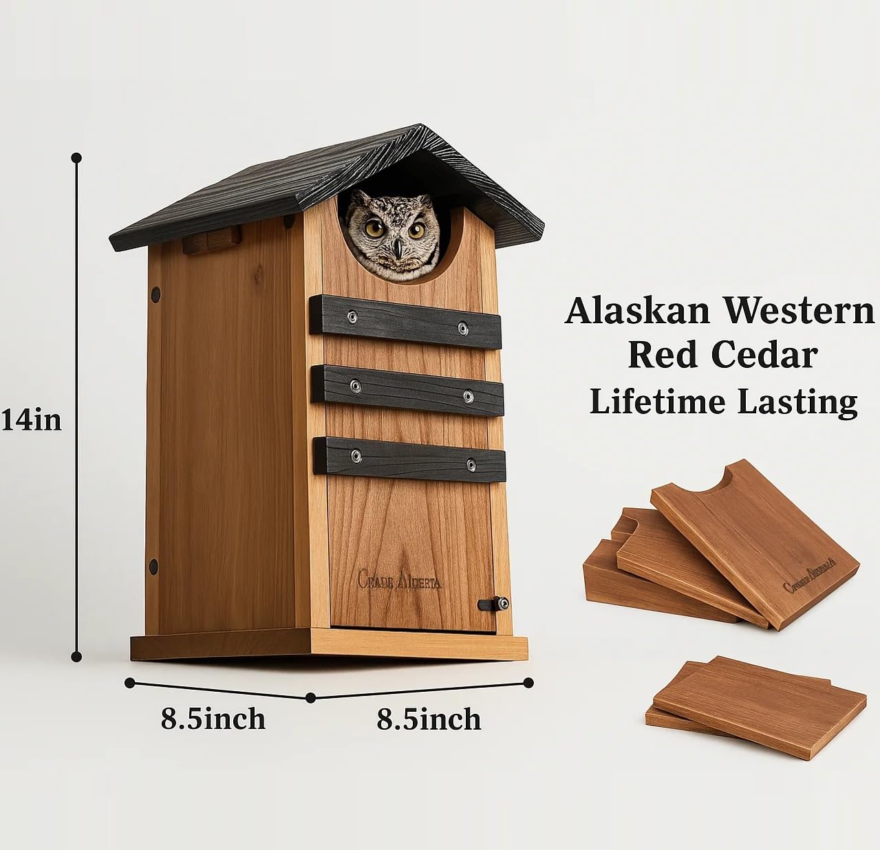 Cedar Squirrel House, Screech Owl Box, Duck Nesting Shelter, Cedar Bird House for Outside, Rustic Big Birdhouse,Nesting Box, Squirrel Shelter Nester Large Heavy Stainless Steel Perch,Assemble Needed