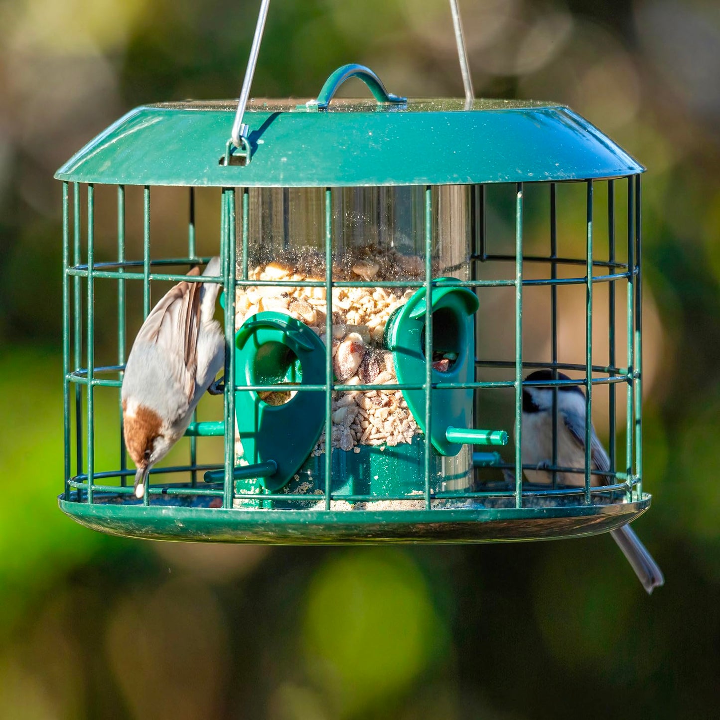 Kingsyard Tube Squirrel Proof Bird Feeders for Outdoor Hanging, Metal Caged Bird Feeder with Rain Proof Covered for Wildbirds Finches Bluebird, 4 Feeding Ports, Green