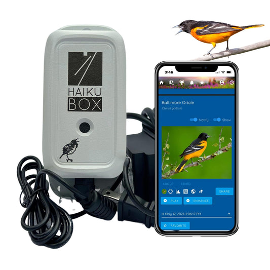 Haikubox Birdsong Identifier: Better than a camera, 24/7 backyard bird sound ID. Hawks, owls, hummingbirds, warblers, orioles, nuthatches & woodpeckers. Boost your birdwatching and birding-by-ear
