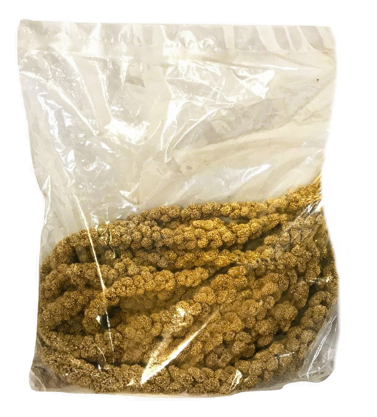 Nemeth Farms Premium Non-GMO Spray Millet Treat | Hand-Harvested Bird Snack | 100% Edible Tops | Sun-Dried Supplement for Parakeets, Cockatiels, Finches, Lovebirds, Canaries