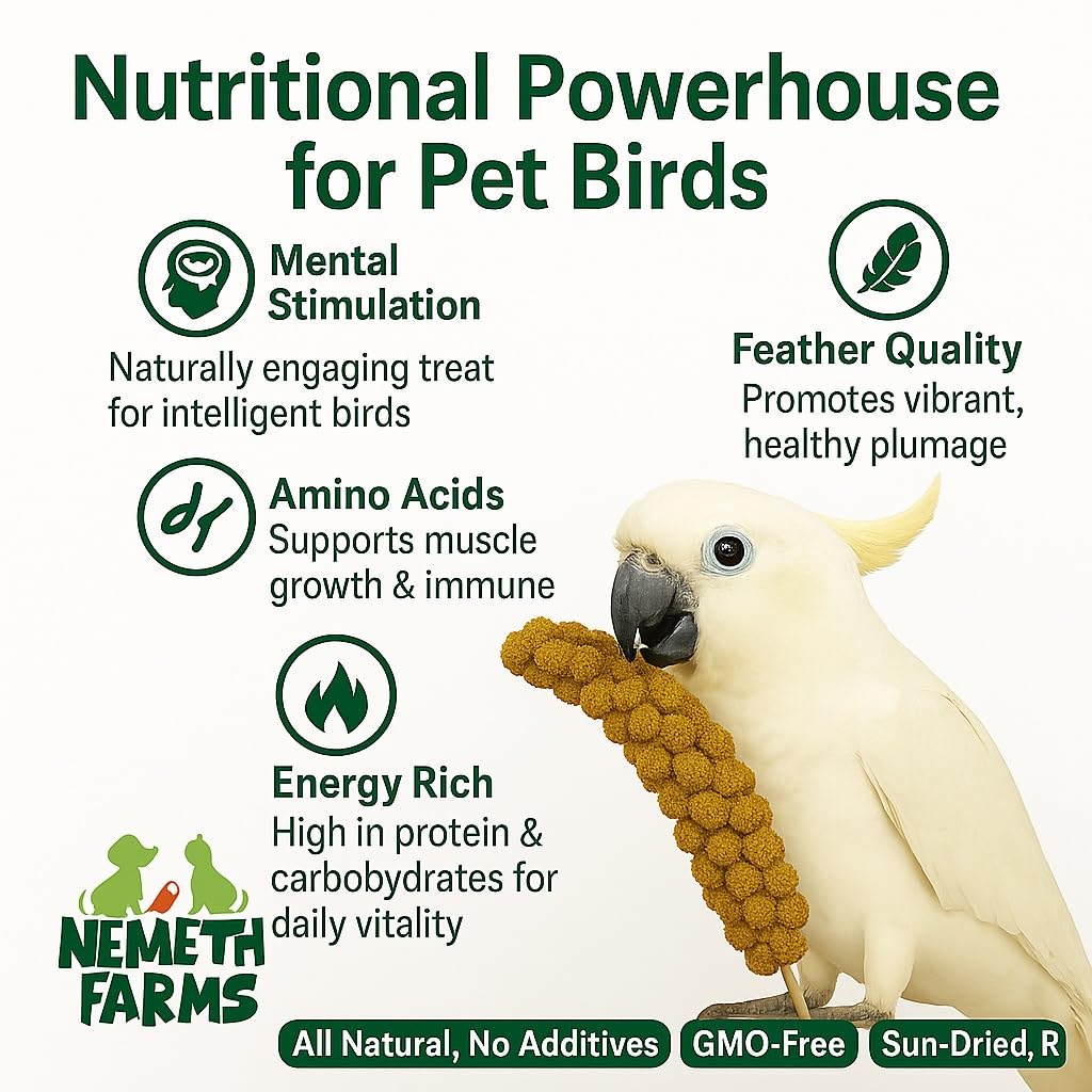 Nemeth Farms Premium Non-GMO Spray Millet Treat | Hand-Harvested Bird Snack | 100% Edible Tops | Sun-Dried Supplement for Parakeets, Cockatiels, Finches, Lovebirds, Canaries