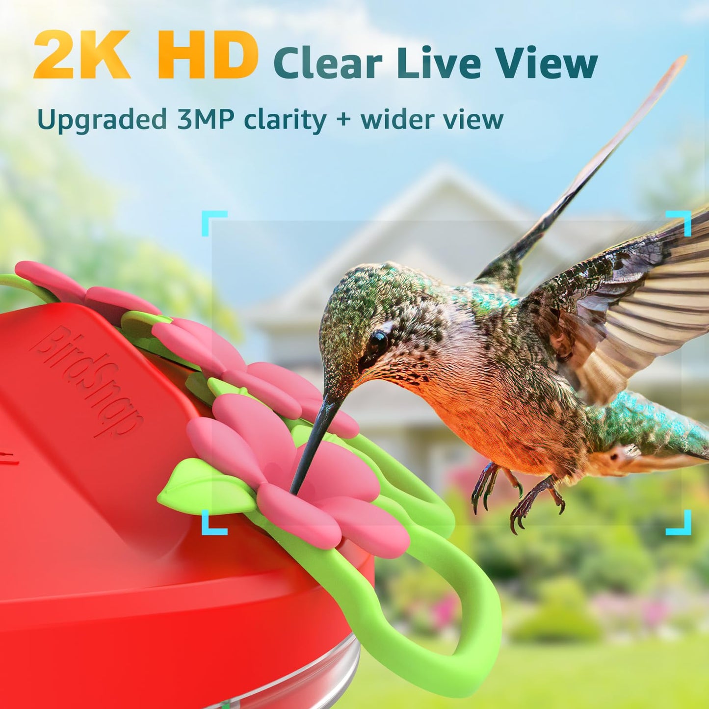 birdsnap® Hummingbird Feeder with Camera Solar Powered, 2K Live Stream AI Bird Identification with 32GB Card Ant Moat Weatherproof WiFi Smart Bird Feeder Camera for Outdoor Birds Watching Gifts