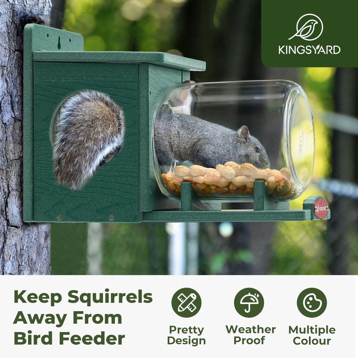 Kingsyard Recycled Plastic Squirrel Feeder for Outside, Squirrel Feeder Box with Peanuts Corn Storage Jar, Sturdy & Durable, Weatherproof (Green)