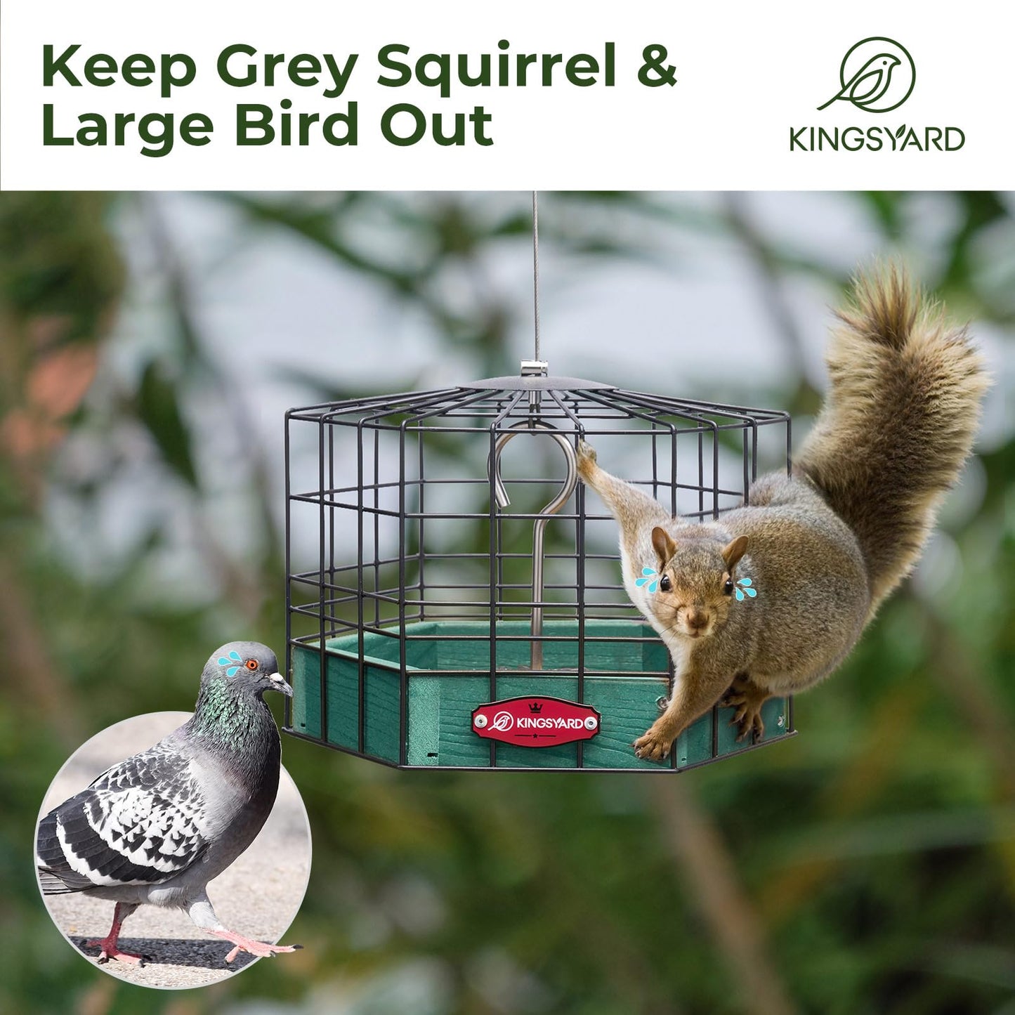 Kingsyard Squirrel Proof Platform Bird Feeders for Outdoor Hanging, 10" Wide Metal Caged Bird Feeder for Small Wildbirds Finches, Recycled Plastic Feeding Platform with Metal Seed Tray, Green