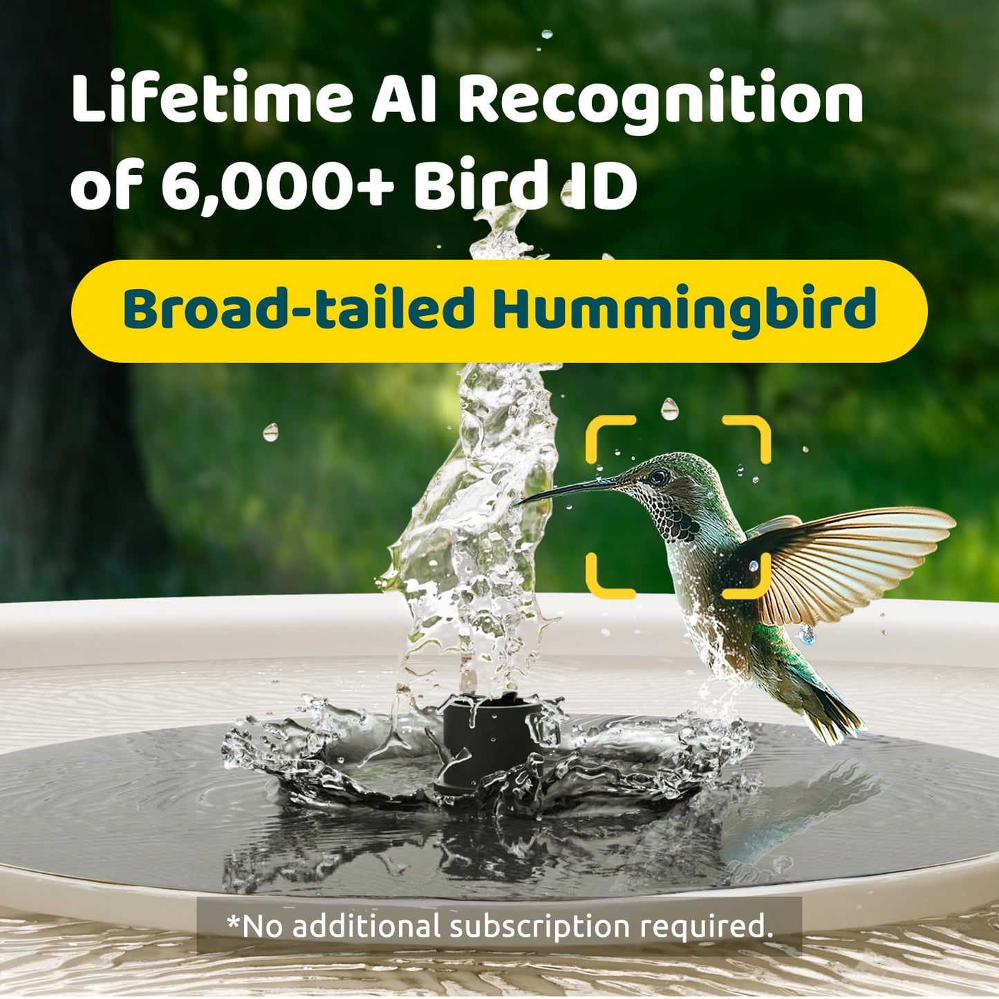 Birdfy Smart Bird Bath with Camera Solar Powered & Solar Fountain & Stand, Dual-Lens Camera for Bird Watching, Auto Capture Bird Videos & AI Identify, Ideal Present for Bird Lover