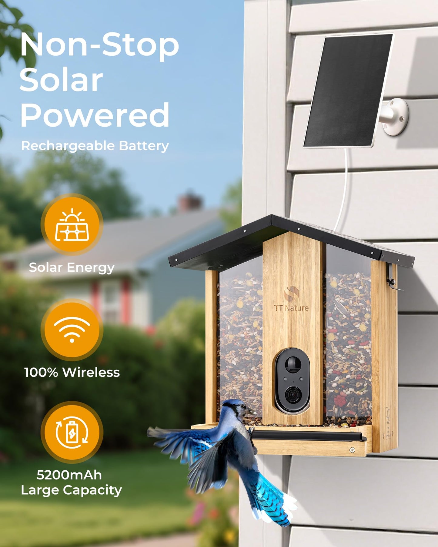 TT Nature Bird Feeder with Camera – 3L Smart Bird Feeder with AI Recognition, Live Streaming, Cloud Storage, Real-Time Alerts, Birdwatching Gift for Nature Lovers (Bamboo)