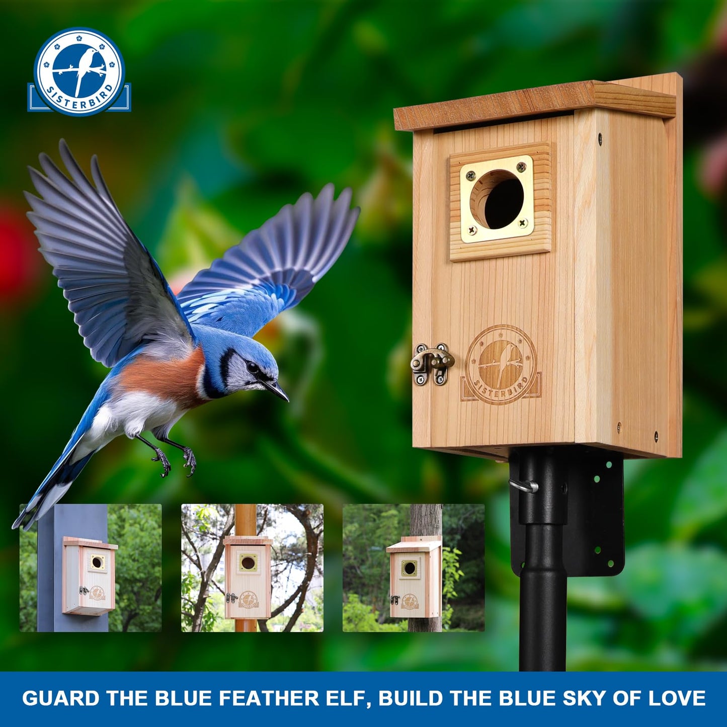 SISTERBIRD 2 Pack Bird Houses for Outside Clearance with Copper Guard, Cedar Bird House Outdoor, Bluebird Finch Swallow Wren Chickadee Assembly Required