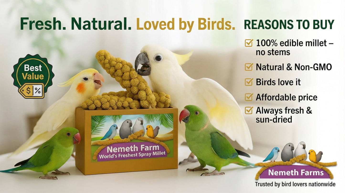 Nemeth Farms Premium Non-GMO Spray Millet Treat | Hand-Harvested Bird Snack | 100% Edible Tops | Sun-Dried Supplement for Parakeets, Cockatiels, Finches, Lovebirds, Canaries