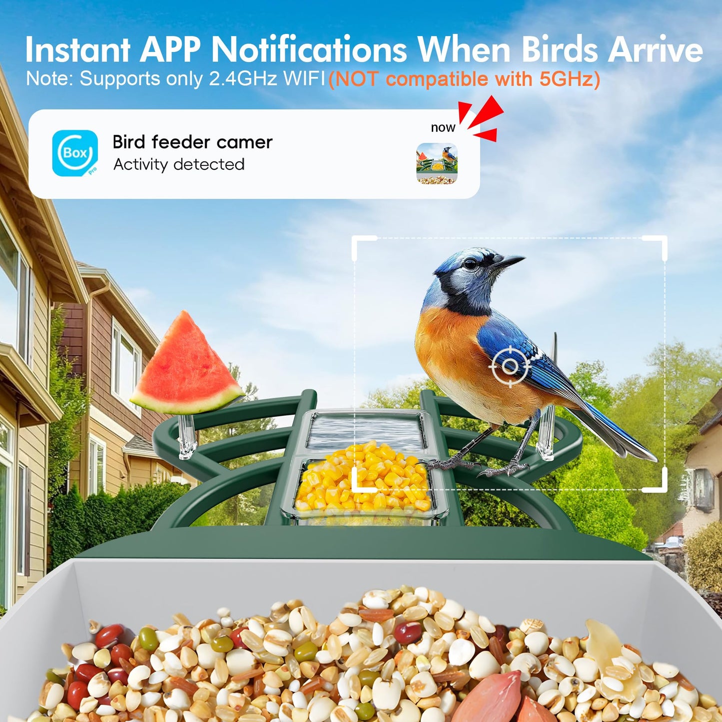 Smart Bird Feeder with Camera Solar Powered, 4K HD Live Video Bird House, AI Identifies,App Control,Instant Arrival Alert,Auto Capture,Motion Detection,IP65 Waterproof