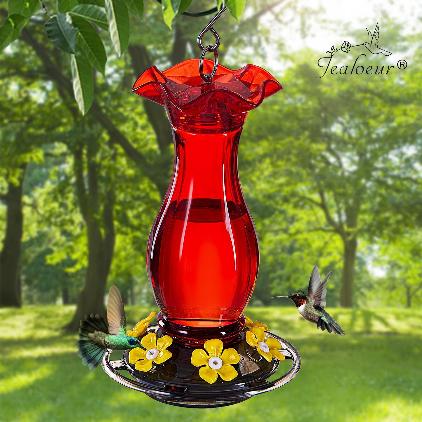 Jealoeur Hummingbird Feeder for Outdoors Hanging, 18 OZ Humming Birds Feeders with 6 Bee Guard Feeding Ports & Built-in Ant Moat, Easy to Clean, Durable Outdoor Garden Decor (Red 1 Pack-C)