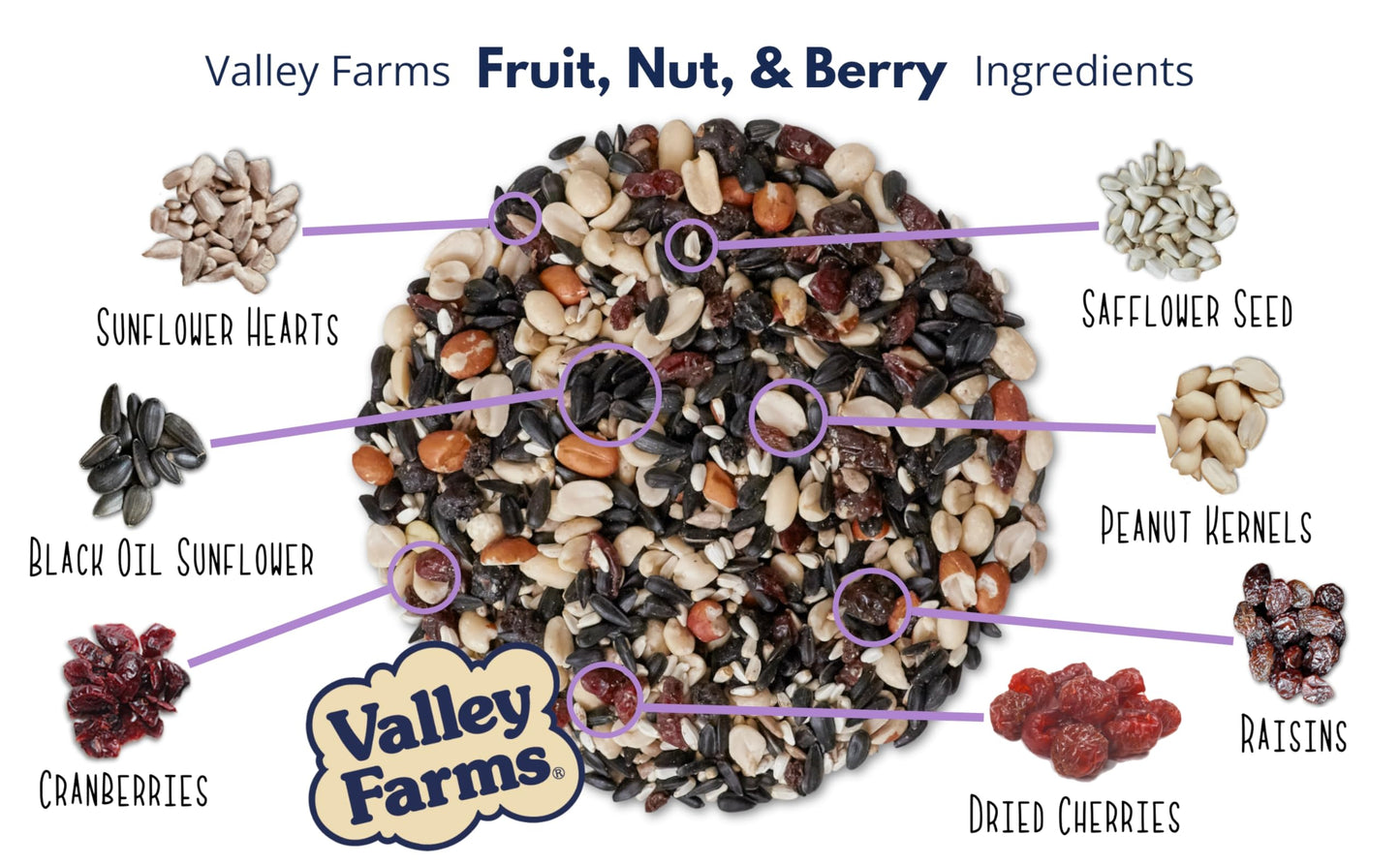 Valley Farms Fruit Nut & Berry 4 LB 2-Pack (8 LB Total) Wild Bird Food for Outside Feeders, Bird Seed with Dried Fruit, Peanuts Sunflower Hearts, Safflower High Energy Mix for Healthy Birds!