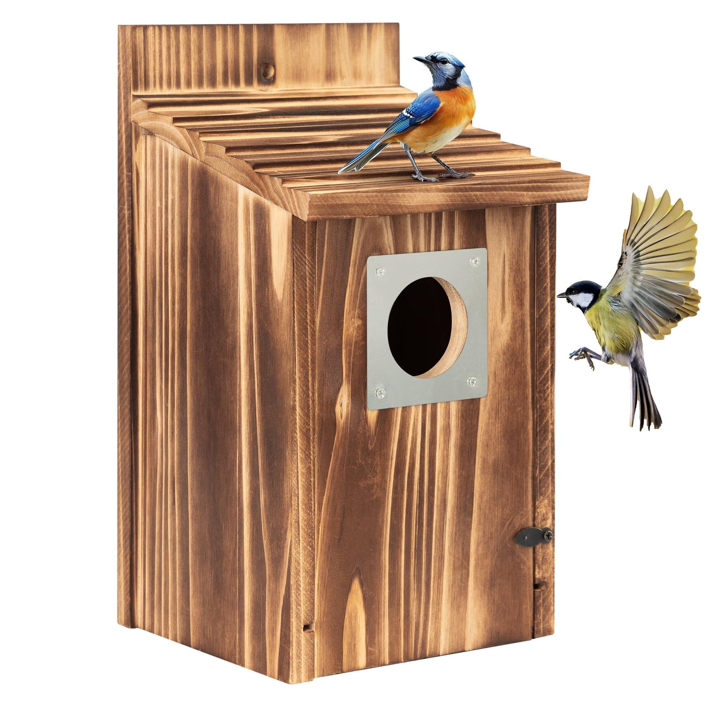 Bird Houses for Outside with Metal Predator Guard for Bluebird Wren Swallow Finch, Carbonized Wooden Nesting Boxes for Outdoor, Sturdy Bird House,Easy to Clean