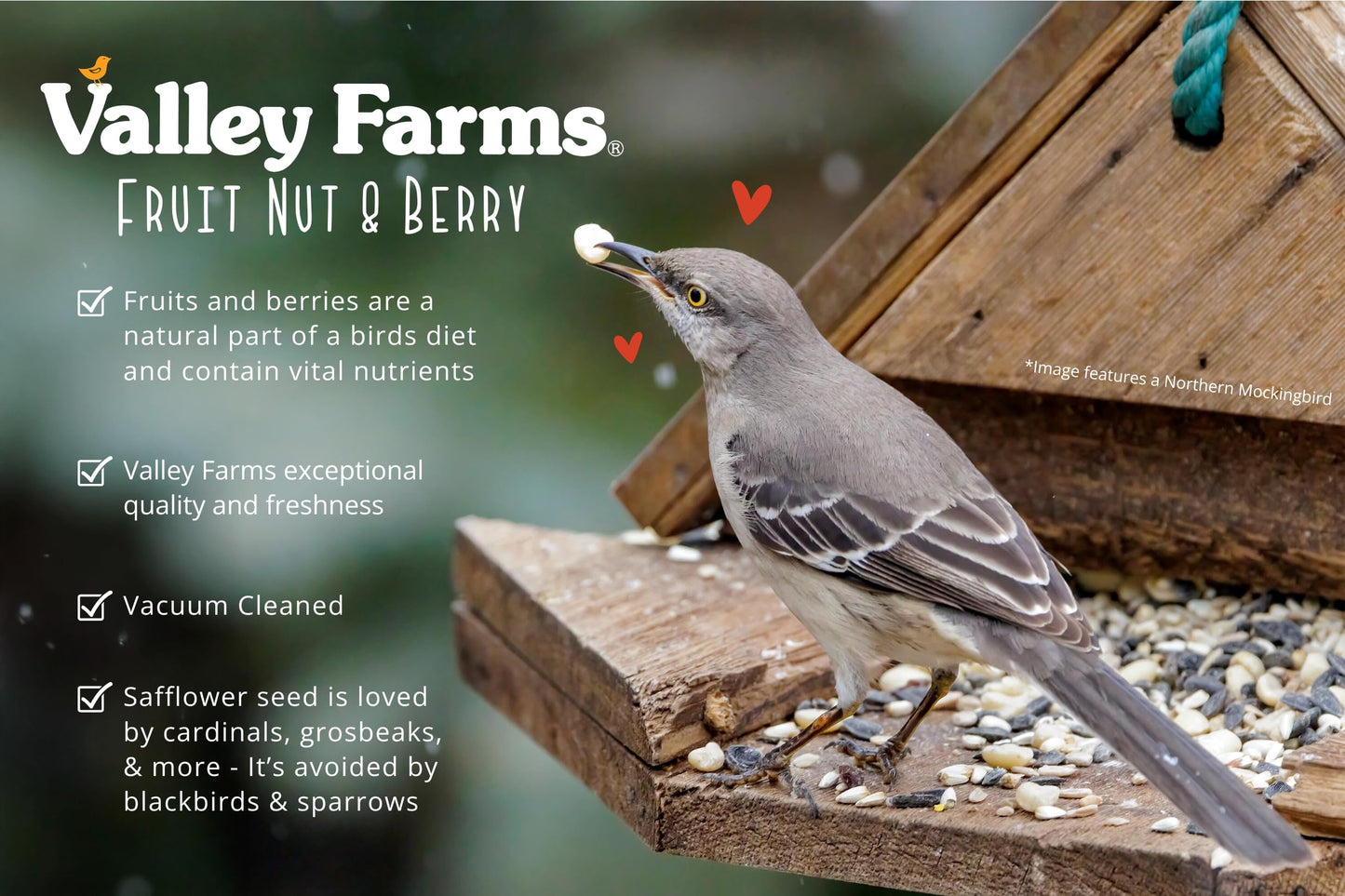 Valley Farms Fruit Nut & Berry 4 LB 2-Pack (8 LB Total) Wild Bird Food for Outside Feeders, Bird Seed with Dried Fruit, Peanuts Sunflower Hearts, Safflower High Energy Mix for Healthy Birds!