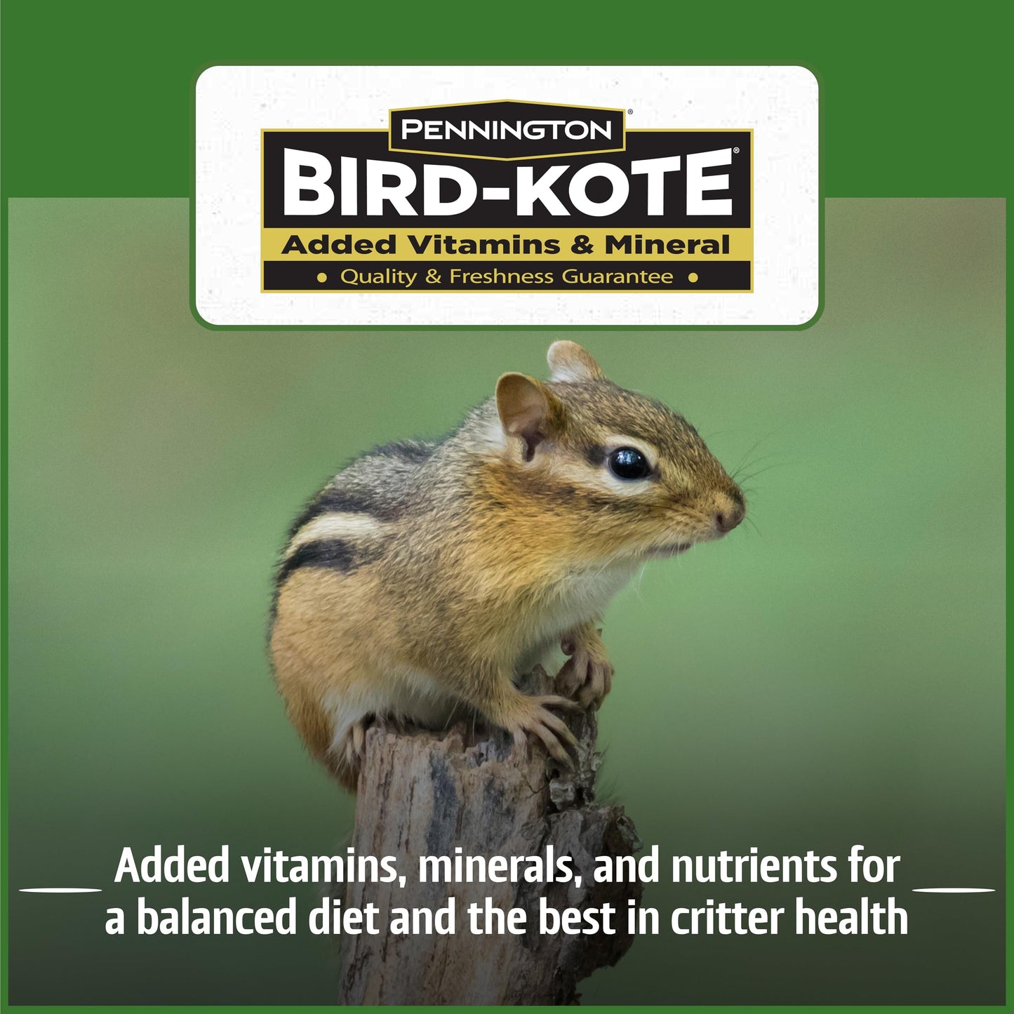 Pennington Pride Squirrel & Critter Blend With Corn, Sunflower Seeds and Peanuts, Helps Keep Critters Away From Bird Feeders, 10-lb. Bag