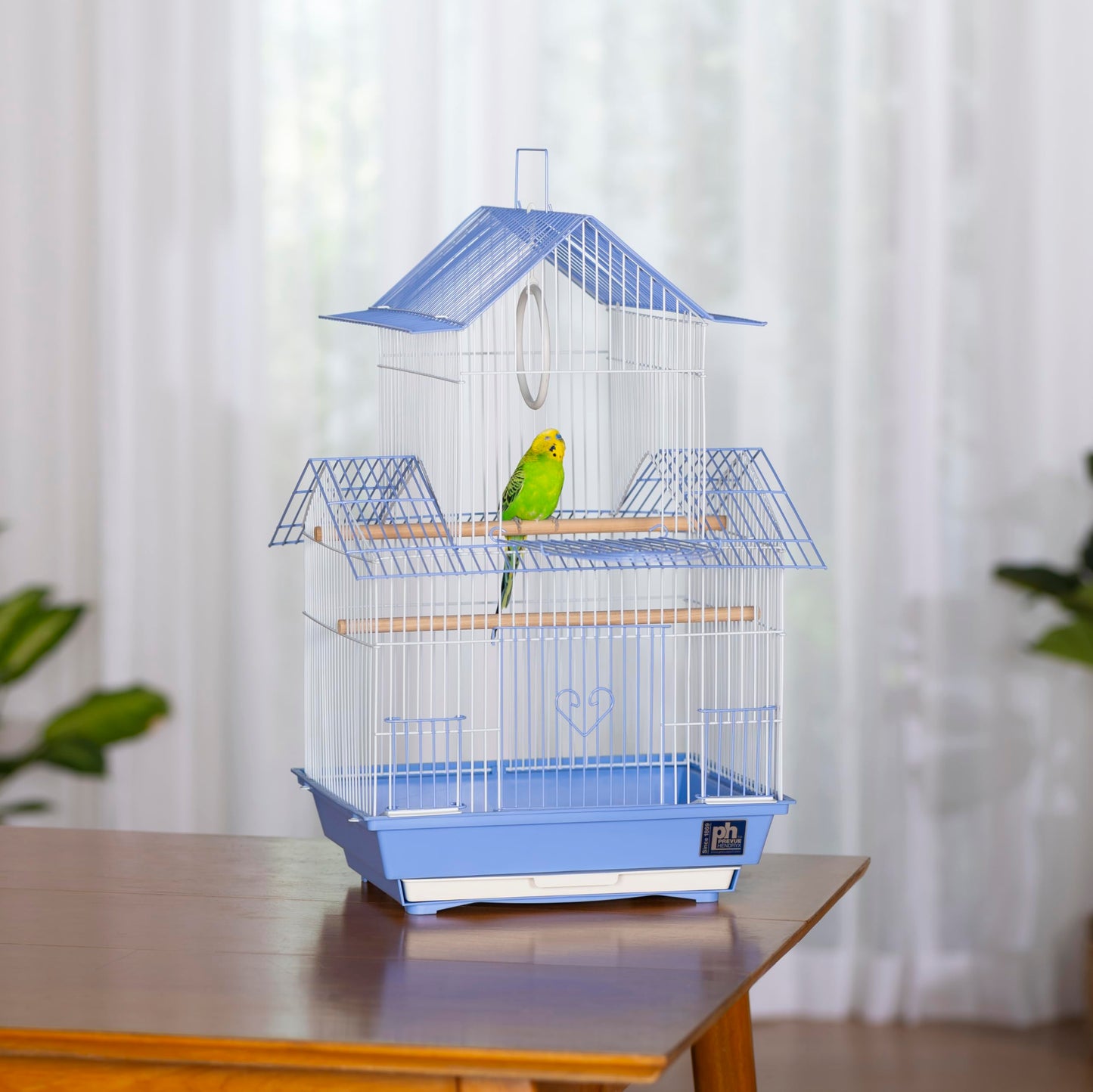 Prevue Hendryx SP1720-2 Shanghai Parakeet Cage, Blue and White