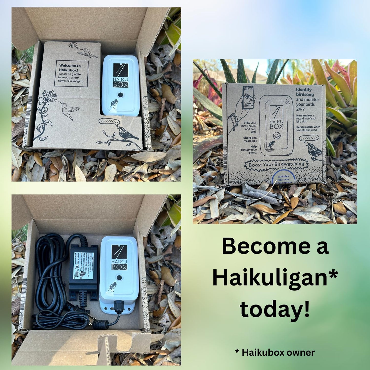Haikubox Birdsong Identifier: Better than a camera, 24/7 backyard bird sound ID. Hawks, owls, hummingbirds, warblers, orioles, nuthatches & woodpeckers. Boost your birdwatching and birding-by-ear