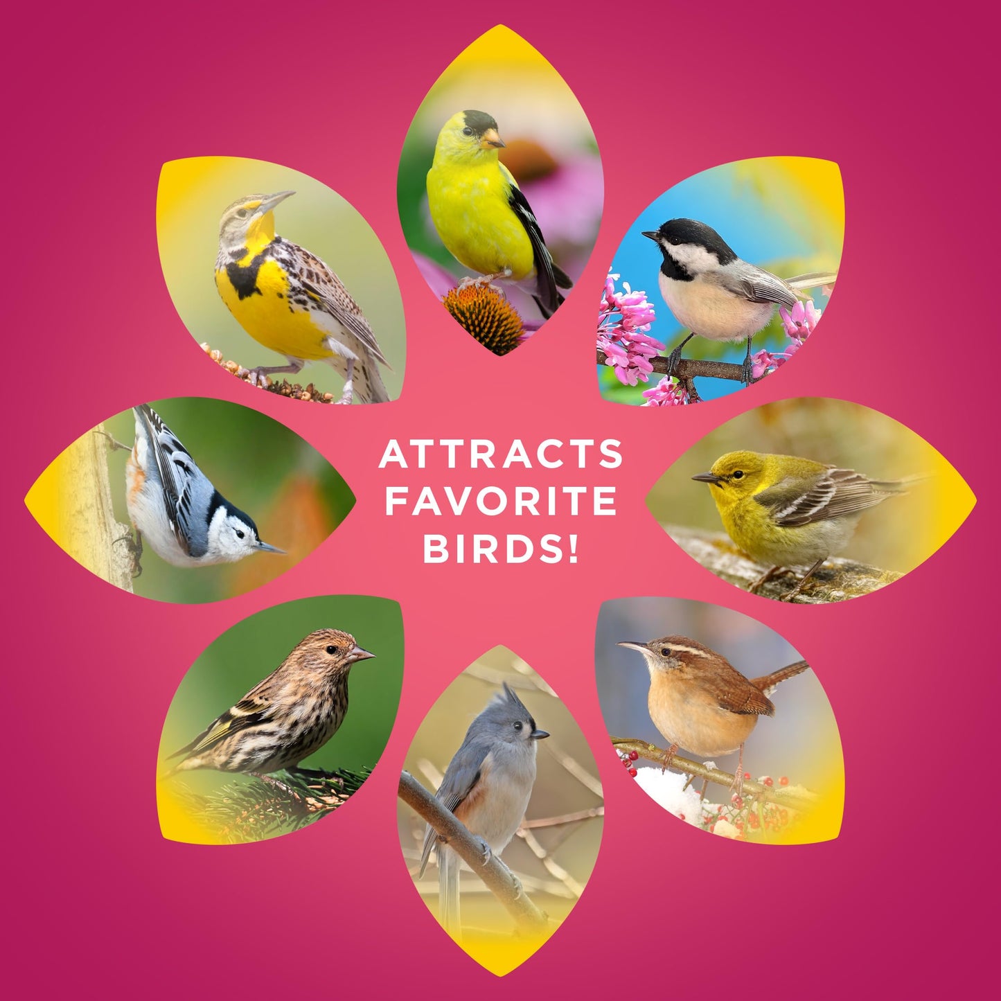 Audubon Park Sunflower Hearts Wild Bird Seed for Outside Feeders, 15-lb. Bag