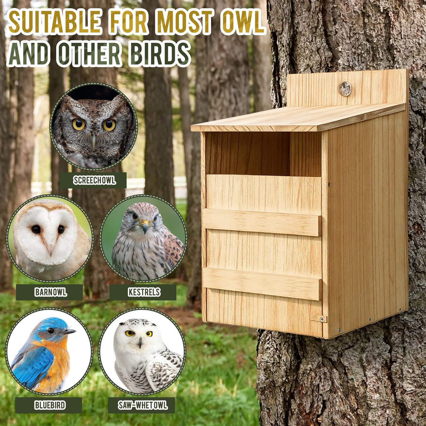 AceOrbit 2 Pack Owl House Screech Owl Nesting Box Kit for Outside 15.4'' Carbonized Wooden Bird Squirrel House Opening Easy Assemble Christmas Shelter Gift with Water Bowl Wood Shavings Tools for Barn