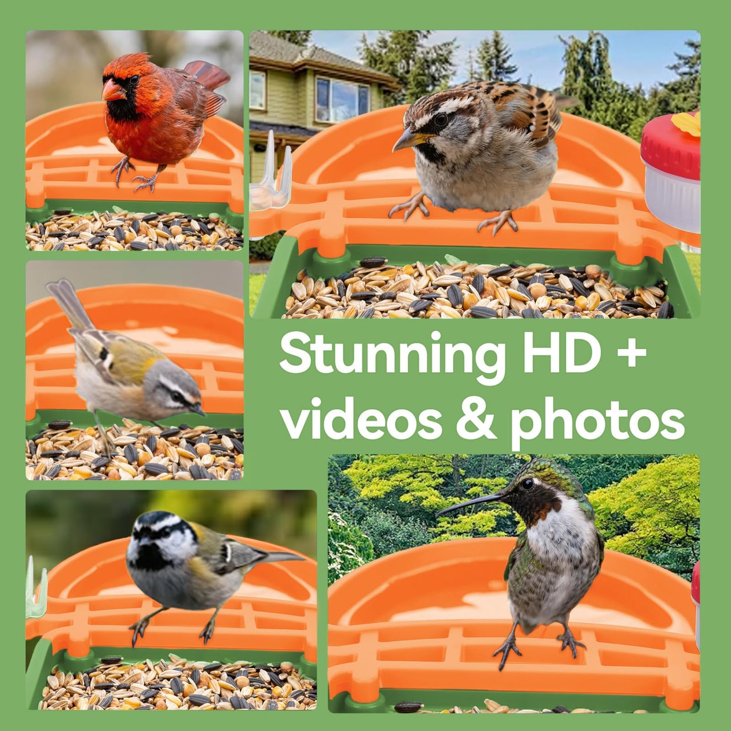 Smart AI Bird Feeder with Camera,2.5K HD Live View,Solar Powered,Instant Birds Species Recognition,Real Time Alerts,Wireless Birdhouse with Night Vision,Ideal Gift,Green